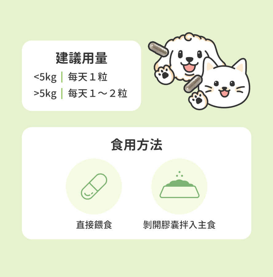 多種食用方法，餵食超方便。